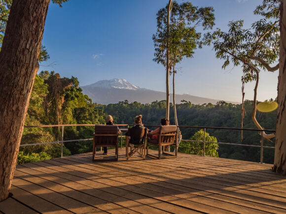 The Best Luxury Safari Lodges in Moshi, Tanzania: Our Top 10 Picks