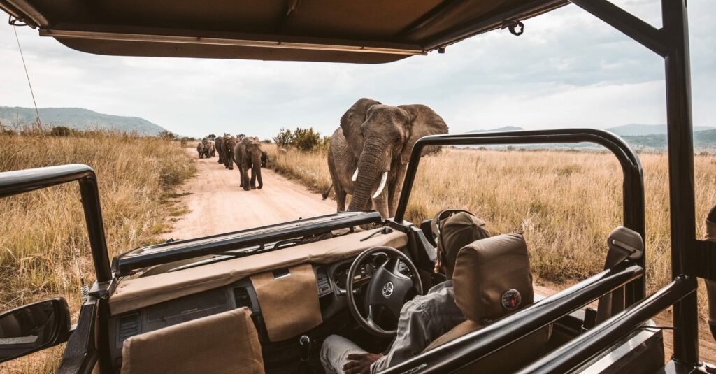 The Future of Luxury African Safaris: Electric Safari Vehicles