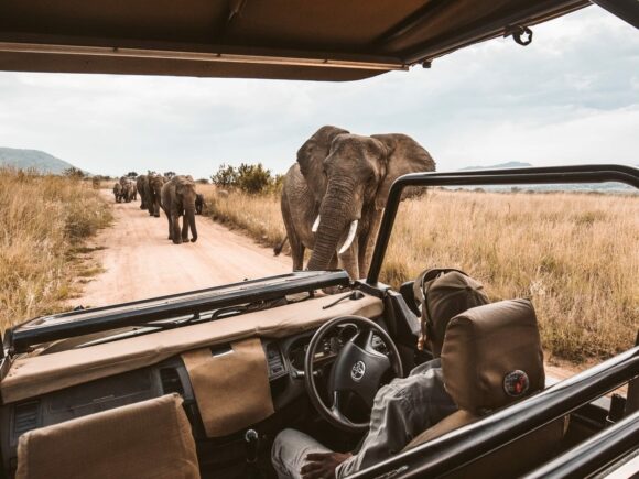 The Future of Luxury African Safaris: Electric Safari Vehicles