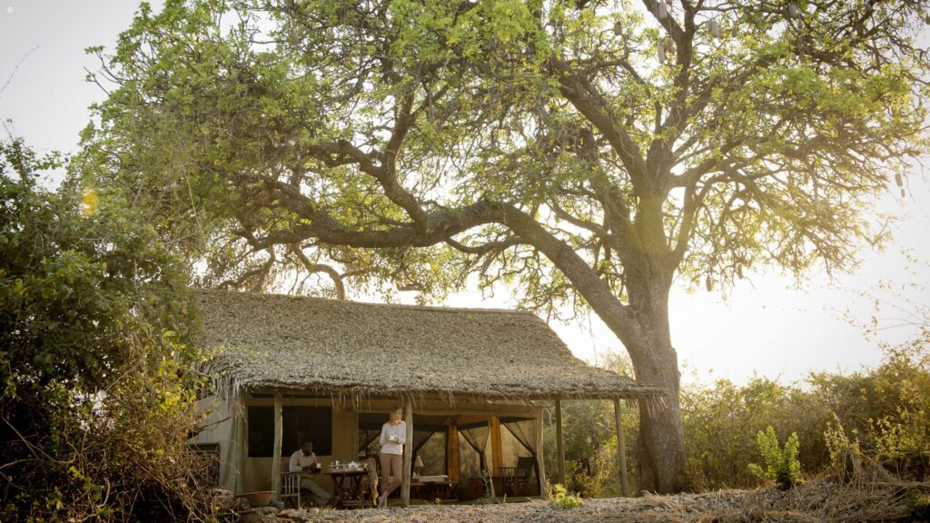 The Ultimate Guide to a Tanzania Safari with I Artist Adventure