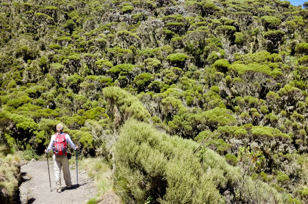 Things You Need to Know Before Climbing Mt Meru in Tanzania