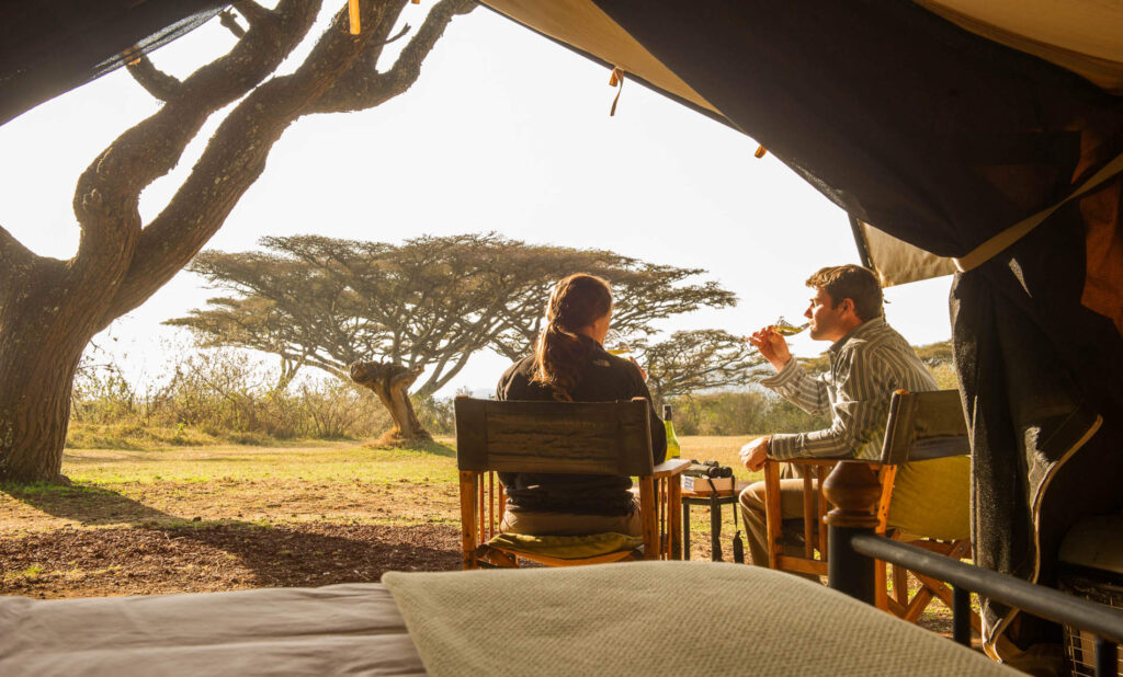 Why Travelers Who Love Cruise Vacations Will Love a Safari with I Artist Adventure