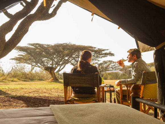 Why Travelers Who Love Cruise Vacations Will Love a Safari with I Artist Adventure