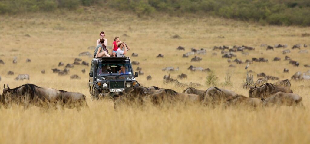 A Guide to Tipping on Safari in Tanzania