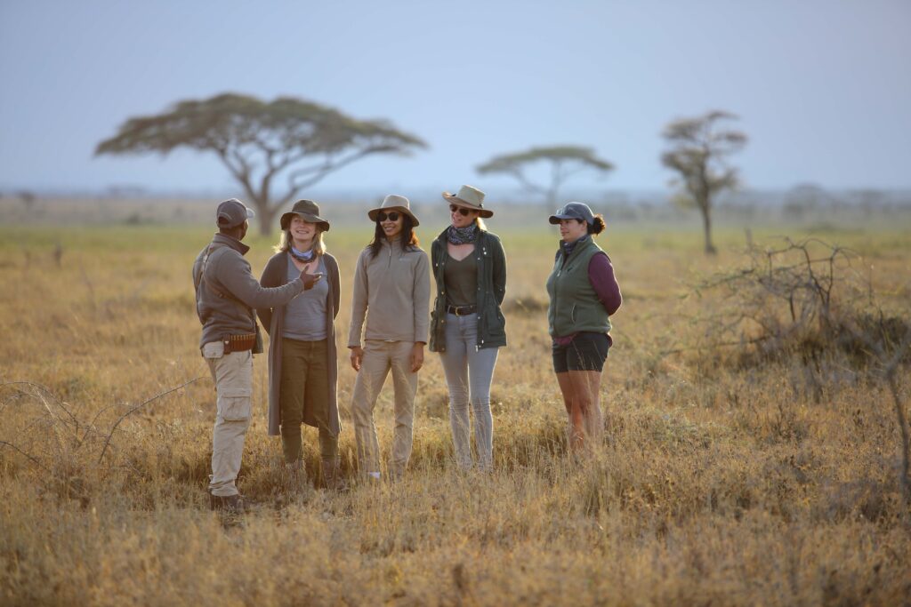 Why 2025 is a Great Time to Go on Safari with I Artist Adventure