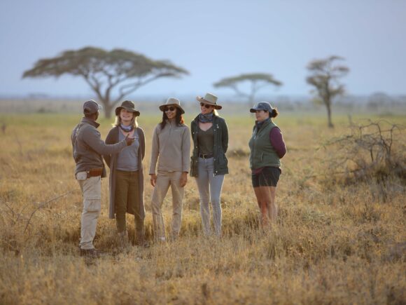 Why 2025 is a Great Time to Go on Safari with I Artist Adventure