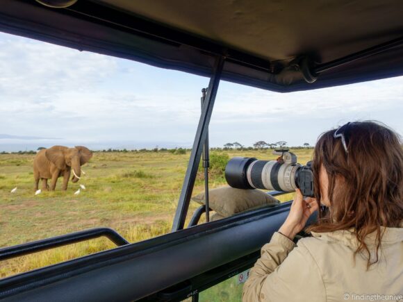 10 Days in Tanzania: The Ultimate Safari Adventure