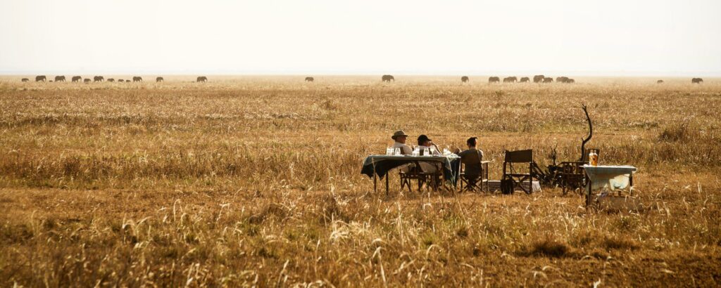 5 Best-Kept Safari Secrets in Tanzania