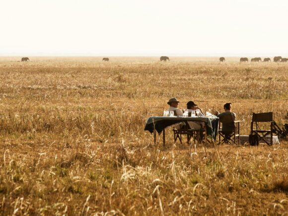 5 Best-Kept Safari Secrets in Tanzania