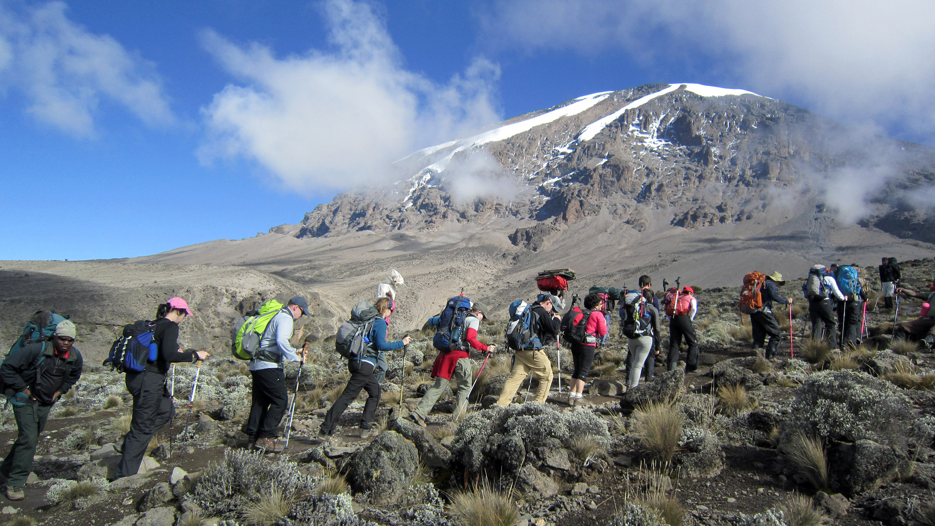 13 Day Kilimanjaro Trek Wildlife Safari