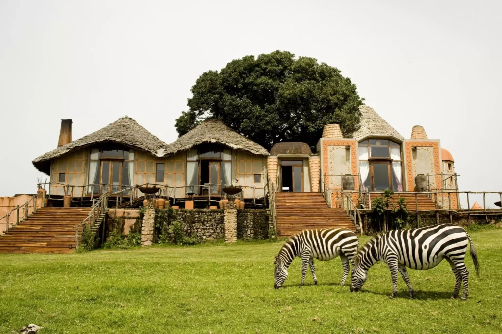 7 Tanzanian Safari Lodges Where Wildlife Roams Free