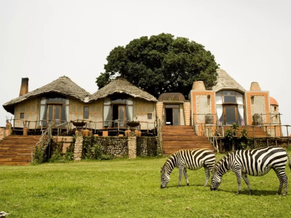 7 Tanzanian Safari Lodges Where Wildlife Roams Free