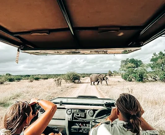 [Infographic]: What to Pack for a Safari Adventure in Tanzania
