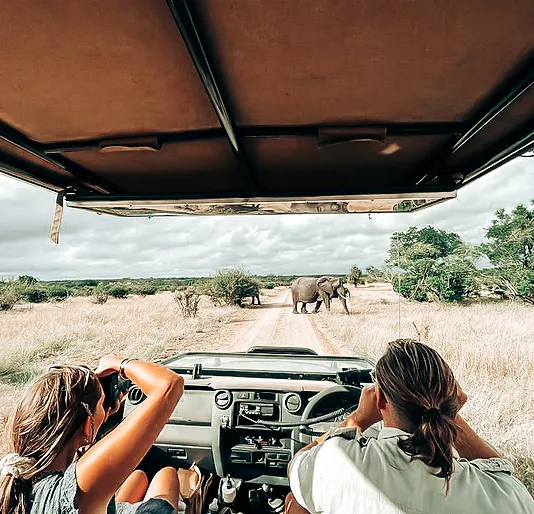 [Infographic]: What to Pack for a Safari Adventure in Tanzania