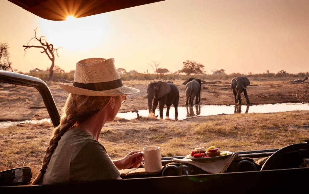 A Beginner’s Guide to Tanzania Safaris
