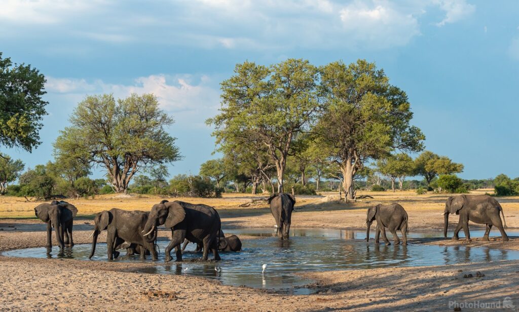 A Guide to Tanzania’s Untamed Wonders: Exploring Tarangire, Serengeti, and Beyond