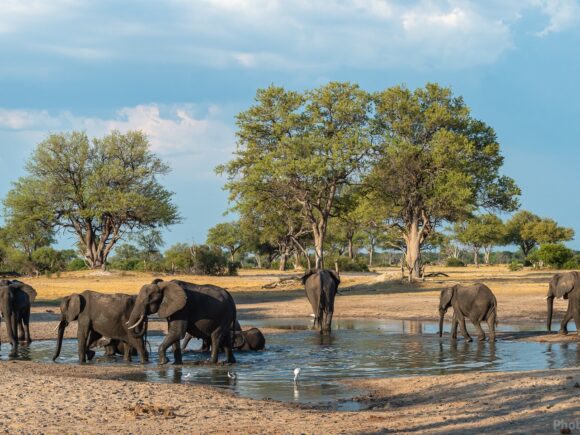 A Guide to Tanzania’s Untamed Wonders: Exploring Tarangire, Serengeti, and Beyond