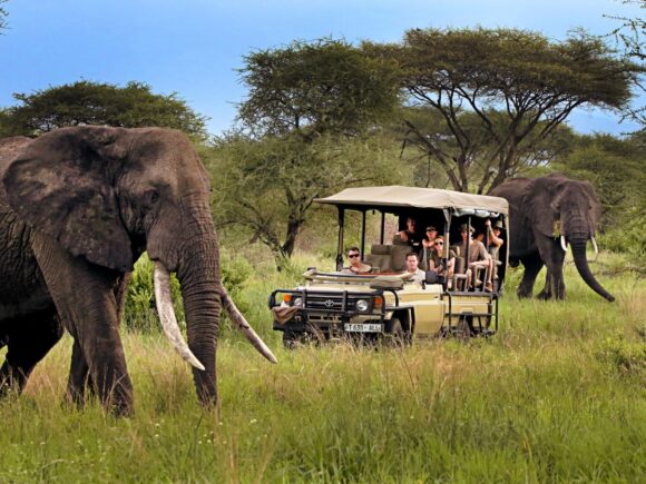 Africa Travel Tips: How to Travel Safely in Tanzania
