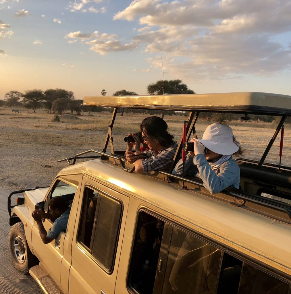 Africa’s Best Family Destinations: Safari Adventures in Tanzania
