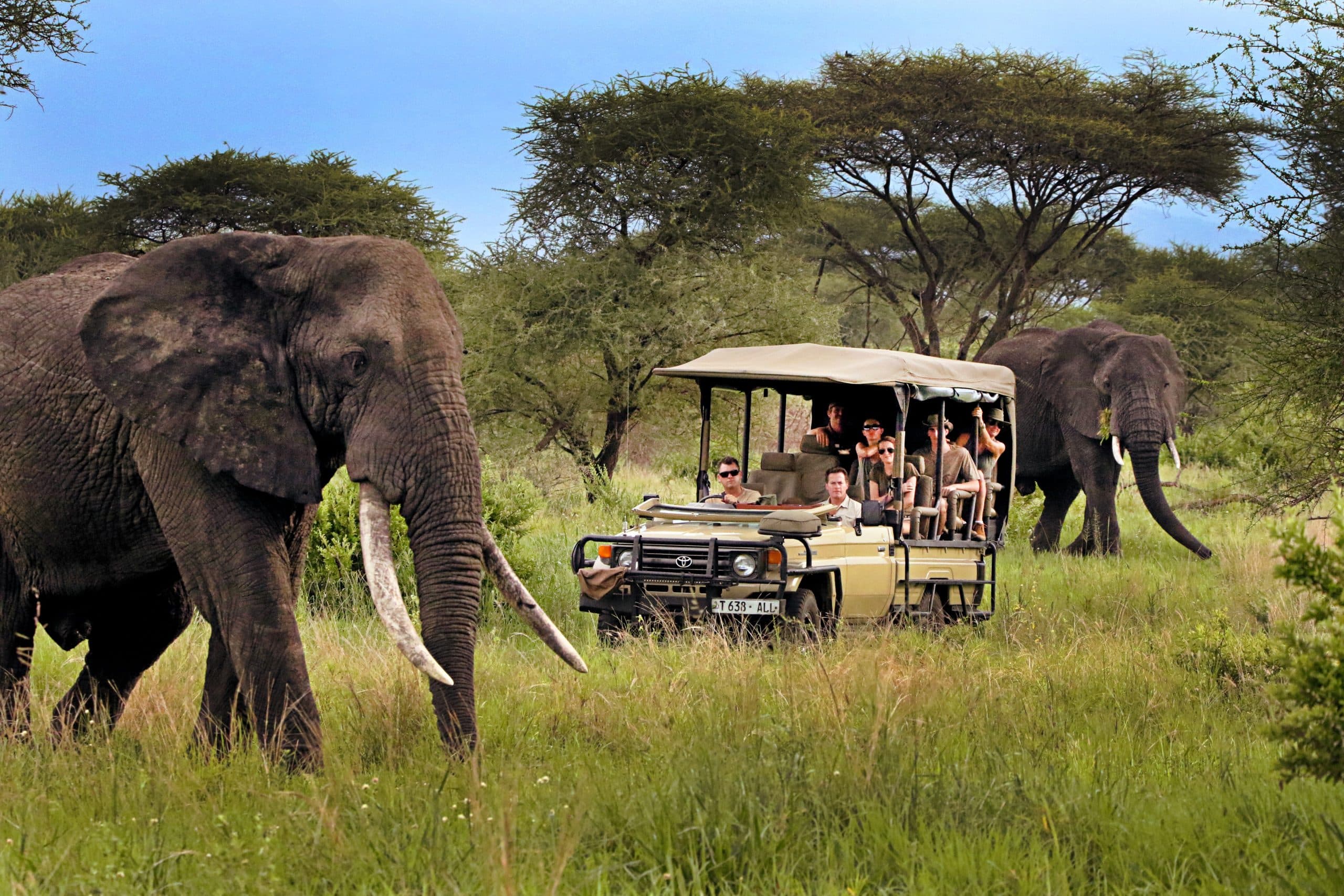 6 Day Tanzania Parks Safari
