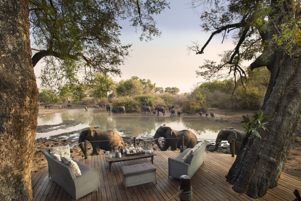 Best Private Game Reserves & Conservancies in Tanzania