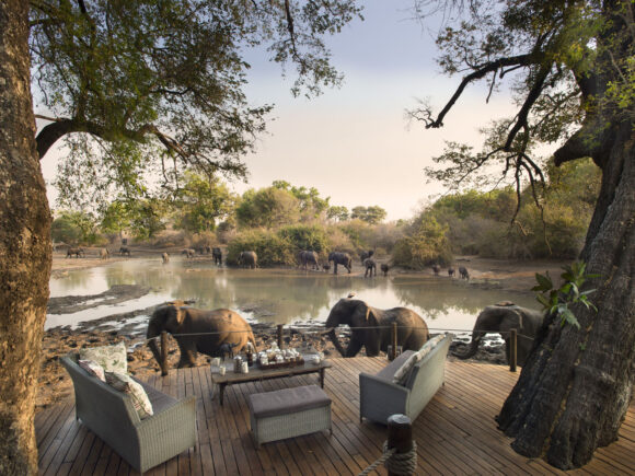 Best Private Game Reserves & Conservancies in Tanzania