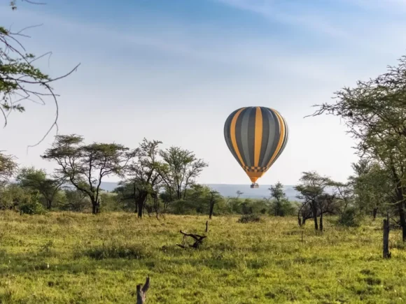 Best Proposal Destinations in Tanzania – I Artist Adventure