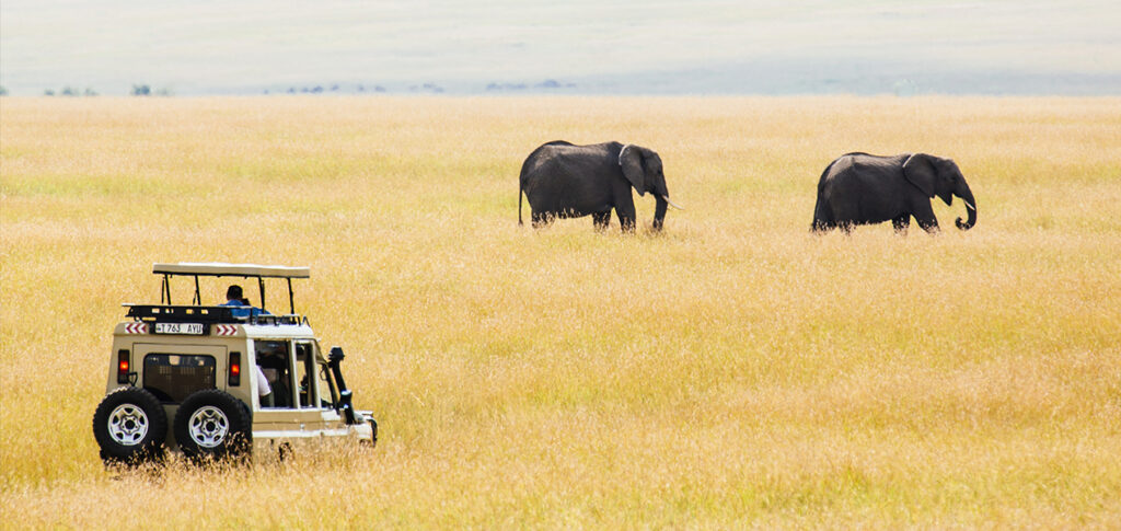 Big Five Destination – Tanzania