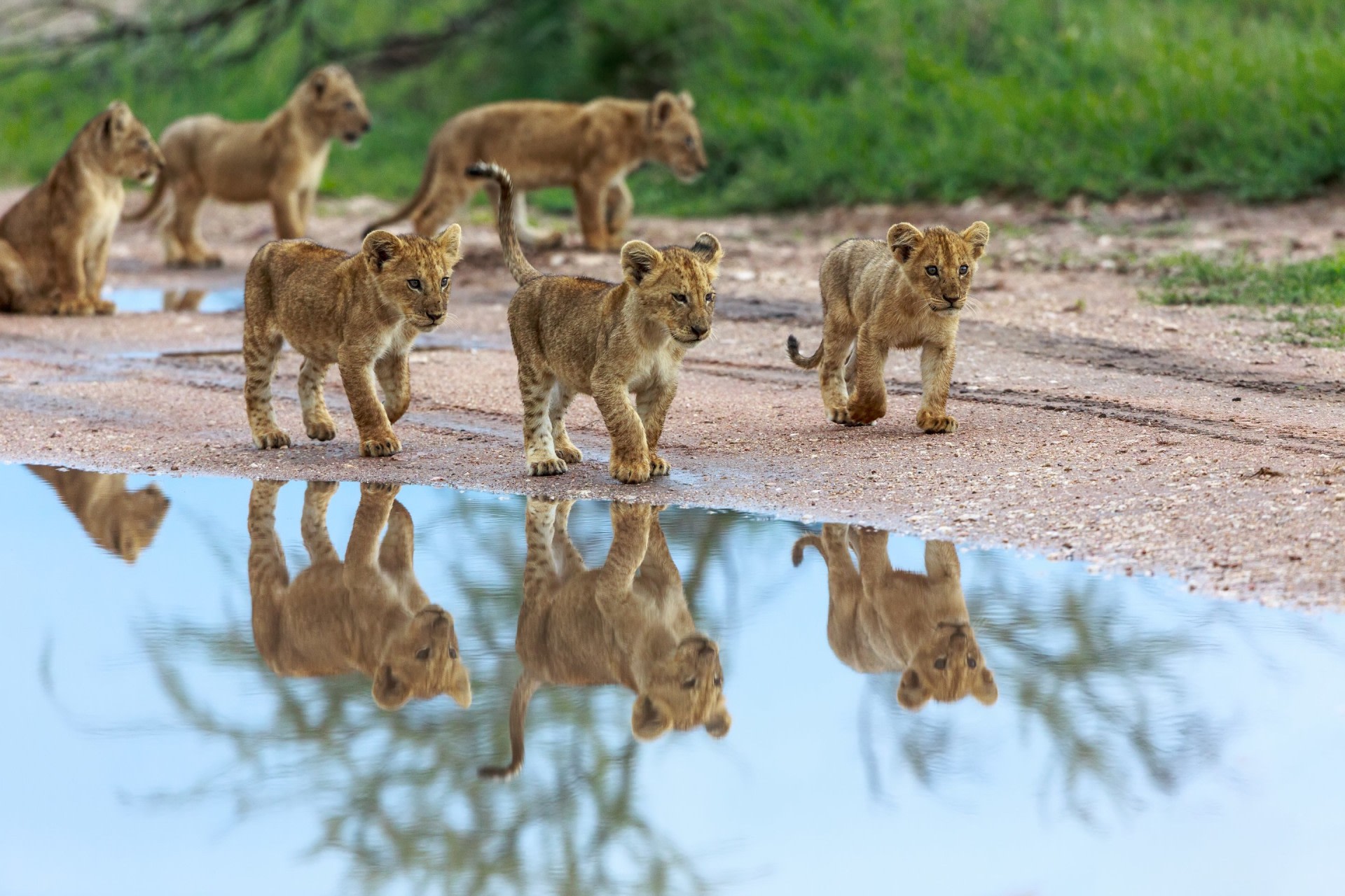 3 Day Serengeti Ngorongoro Safari