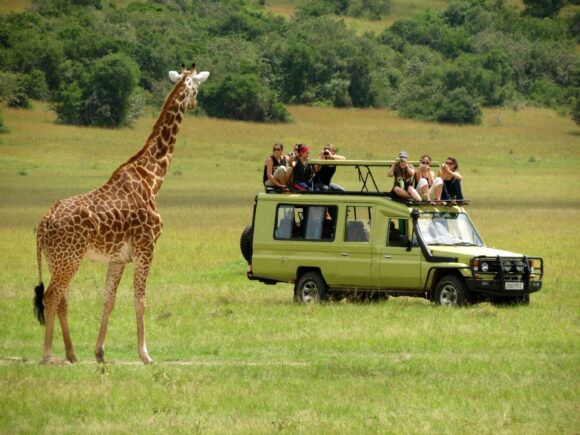 History, Culture & Cuisine: Our Top Guided Walking Tours in Tanzania
