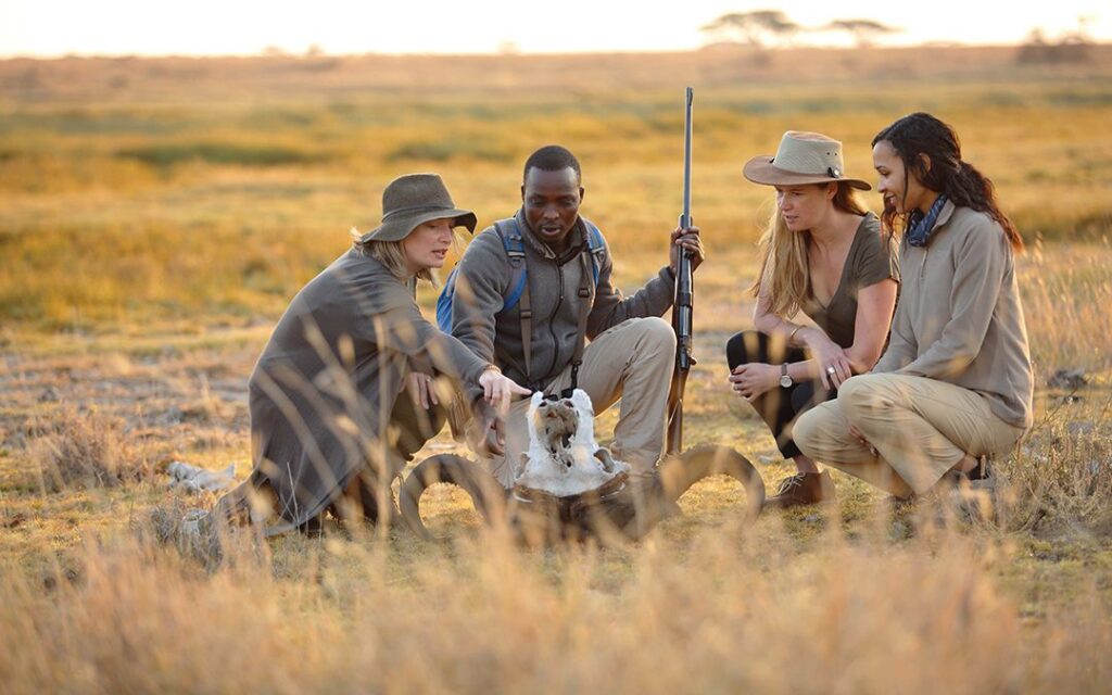 How to Choose a Safari Tour Agency