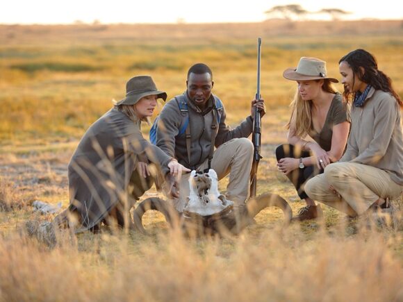 How to Choose a Safari Tour Agency