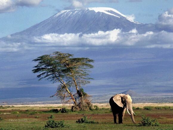 Is it Safe to Travel to Tanzania in 2025?