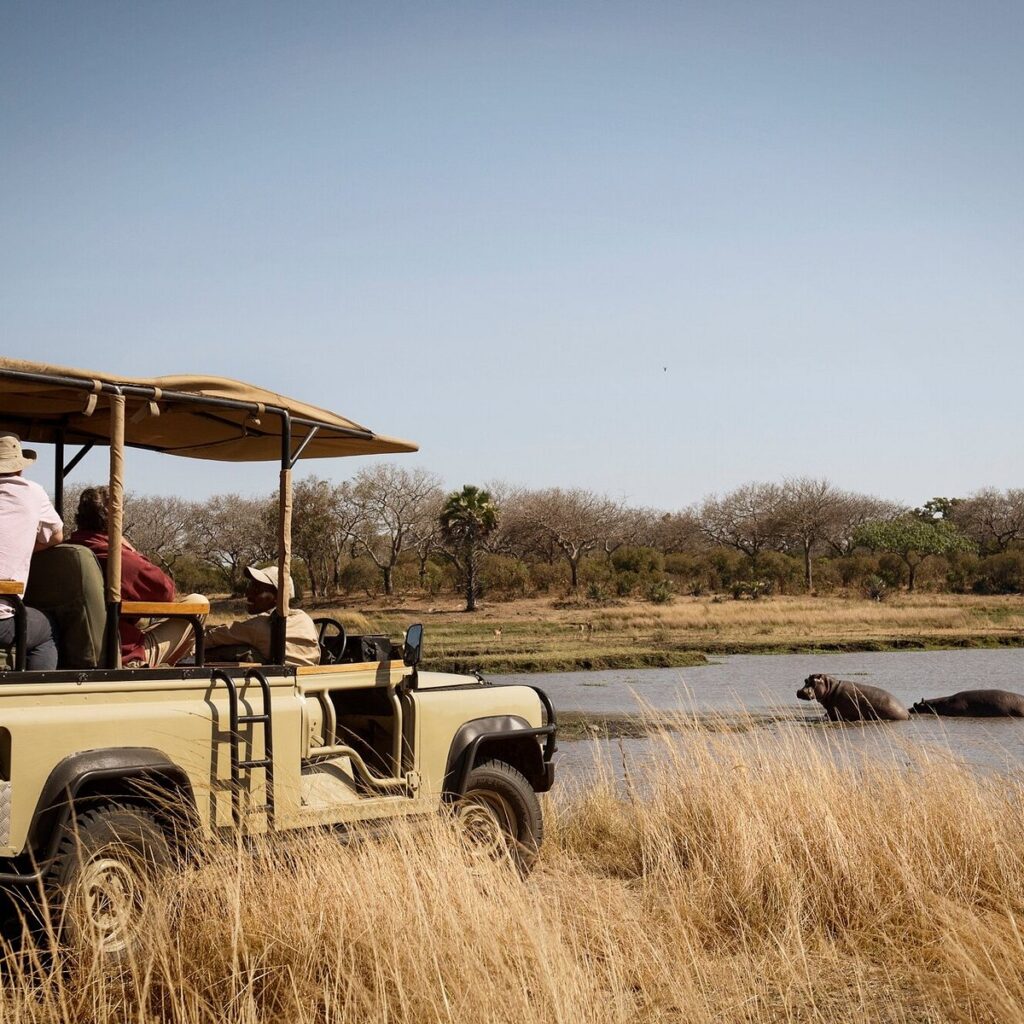 Tanzania Safari: The Ultimate Wildlife Adventure