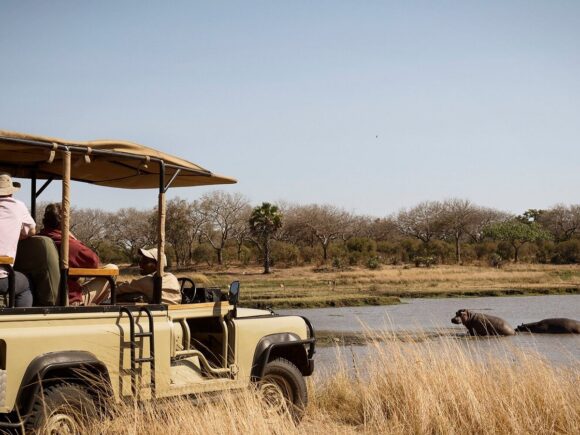 Tanzania Safari: The Ultimate Wildlife Adventure