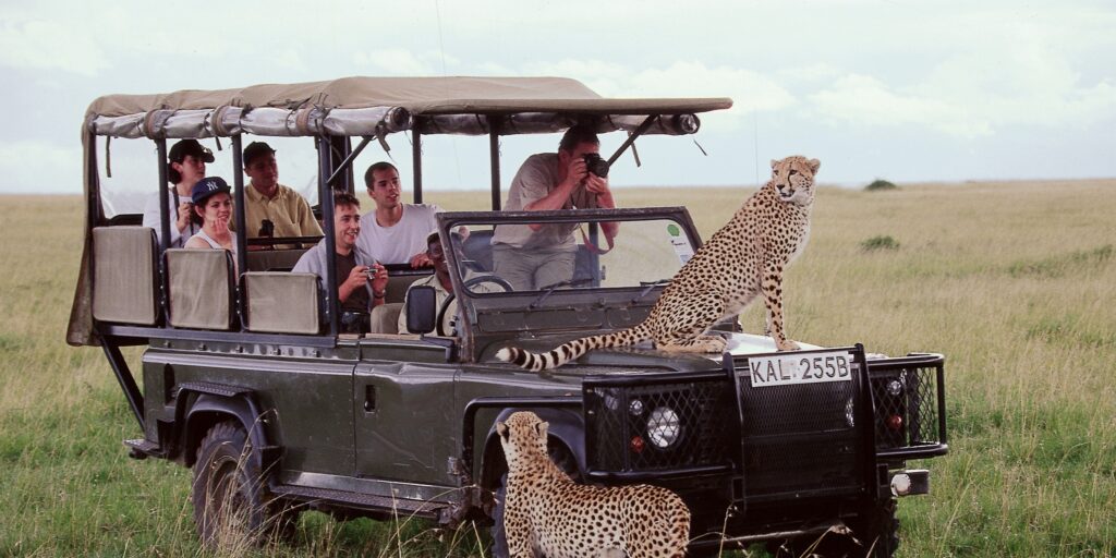 Kenya or Tanzania: Which is Best for Safari?