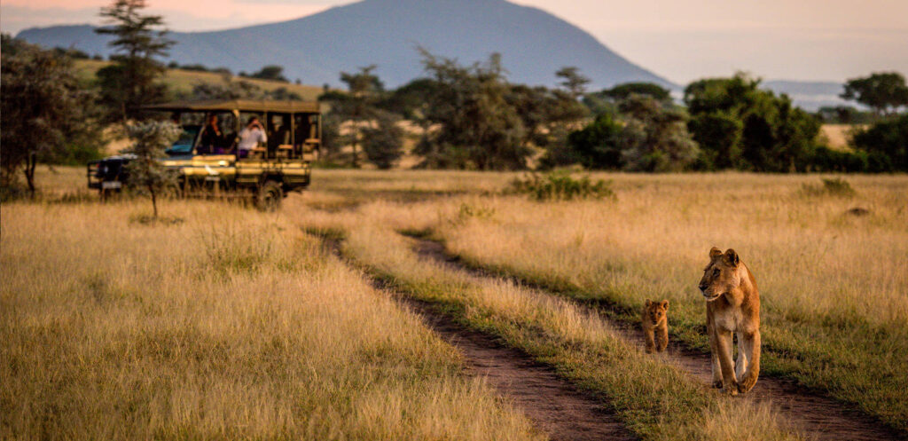 Know Your Tour Type: Tailored or Scheduled?