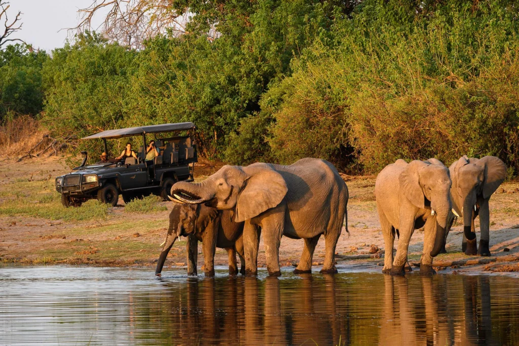 Tanzania: A Safari Adventure Like No Other