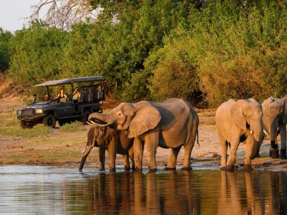 Tanzania: A Safari Adventure Like No Other