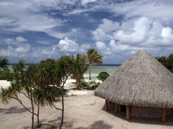 The Ultimate Tanzania Beach & Safari Guide