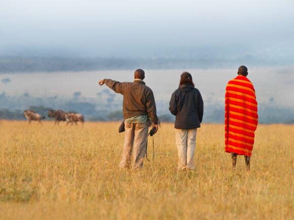 The Ultimate Tanzania Safari Travel Guide