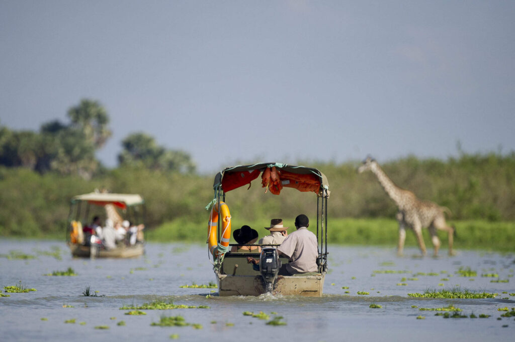Tips for Boat-based Wildlife Viewing in Tanzania