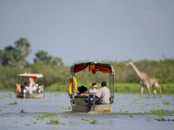 Tips for Boat-based Wildlife Viewing in Tanzania
