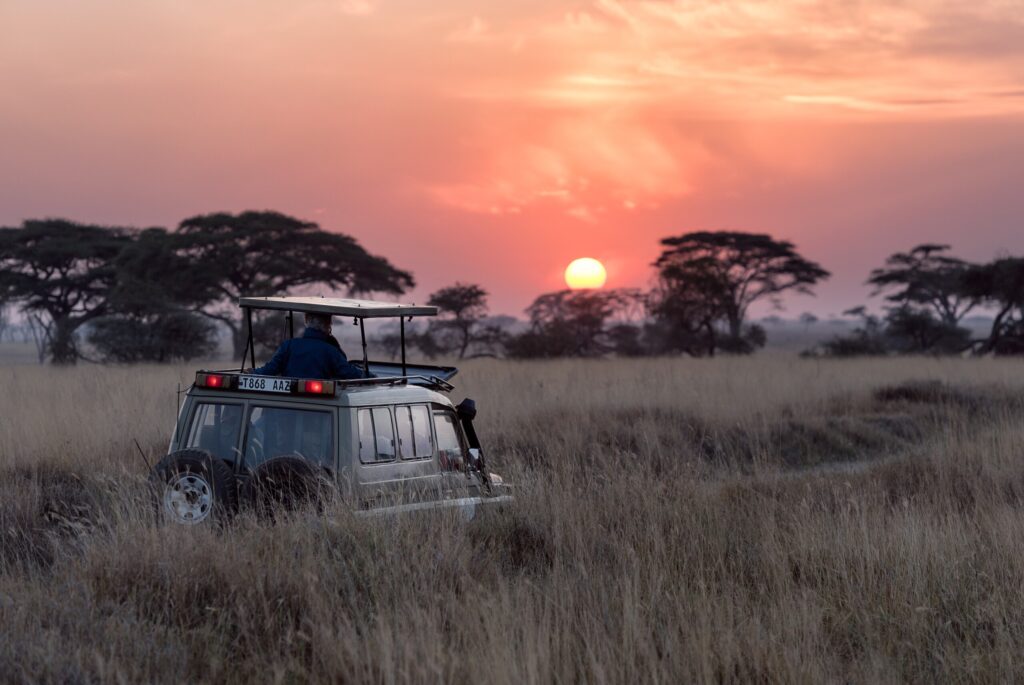 Top 5 African Bucket List Experiences for Solo Travellers