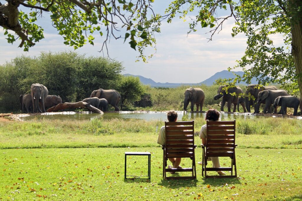 Top 7 Things to See and Do on a Safari with I Artist Adventure in Moshi