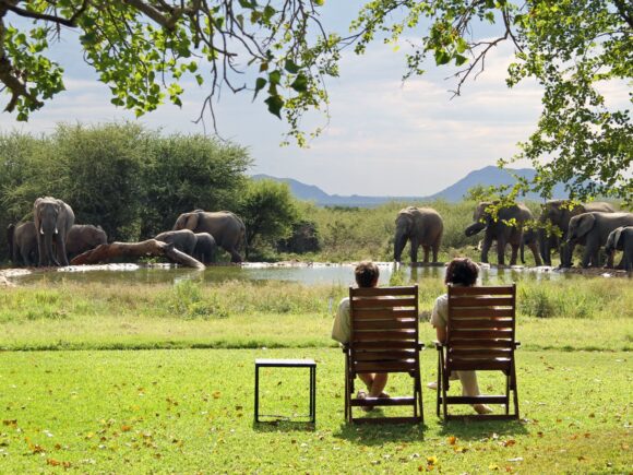 Top 7 Things to See and Do on a Safari with I Artist Adventure in Moshi