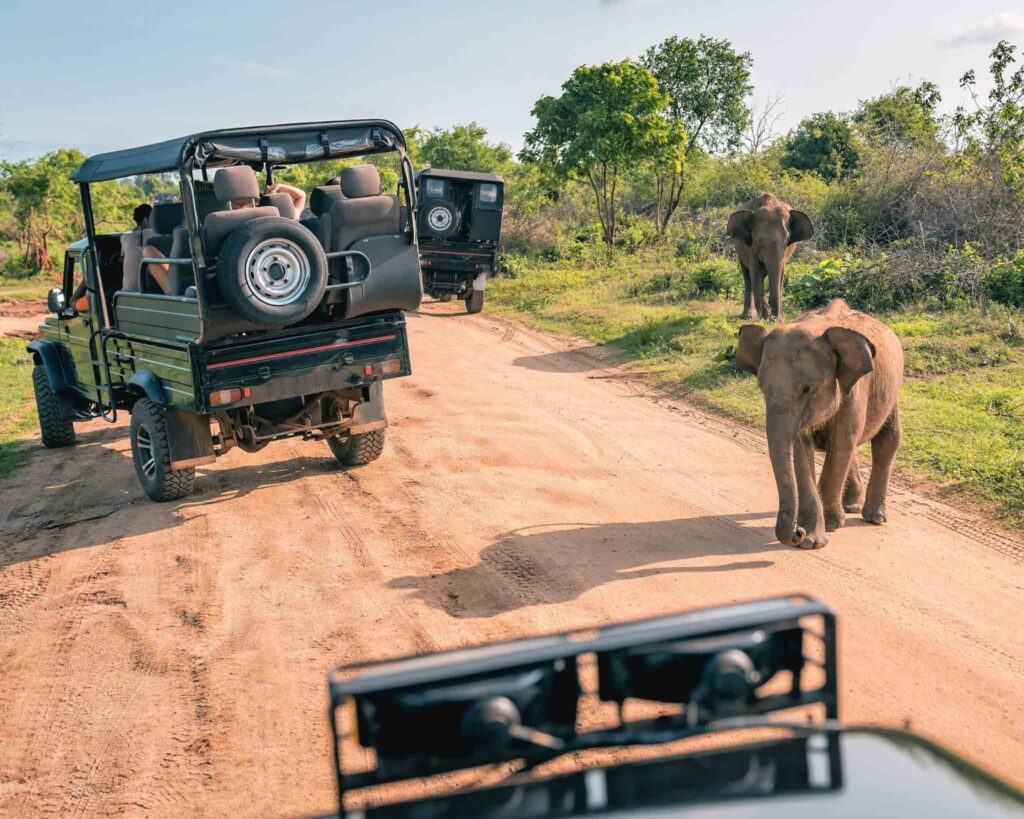 Where to Go in Africa in February