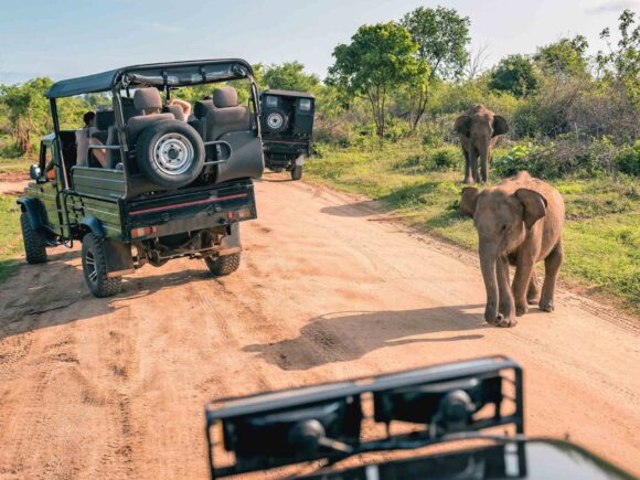 Where to Go in Africa in February