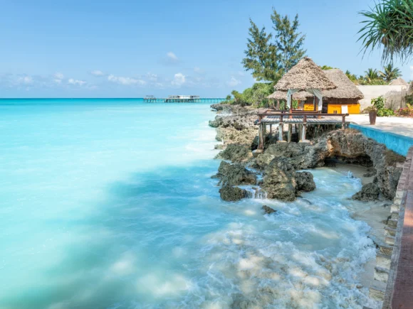 Where to Go in Africa in January: Tanzania’s Best Safari & Beach Escapes