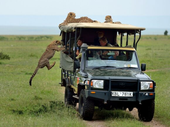 Where to Go in Africa in November with I Artist Adventure